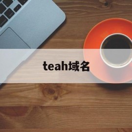 teah域名(tech域名怎么样)