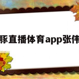 海豚直播体育app张伟丽(海豚直播体育app张伟丽是真的吗)