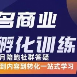 商业IP孵化训练营，从商业到内容到转化一站式学 价值5980元