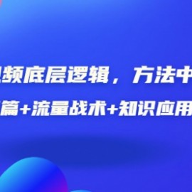 短视频底层逻辑，方法中的方法，基石篇+流量战术+知识应用实战-价值389元