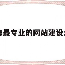 上海最专业的网站建设公司(上海最专业的网站建设公司排名)