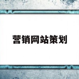 营销网站策划(网站网络营销策划书)