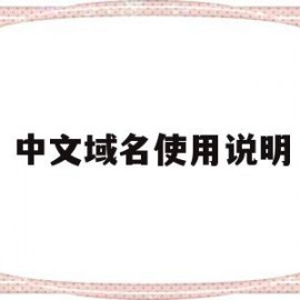 中文域名使用说明(中文域名是什么意思)