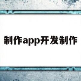 制作app开发制作(app制作开发需要学什么)