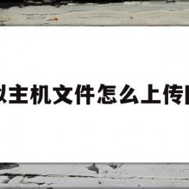 虚拟主机文件怎么上传网站(虚拟主机文件怎么上传网站的)