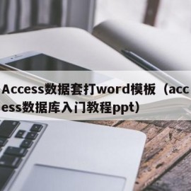 Access数据套打word模板（access数据库入门教程ppt）