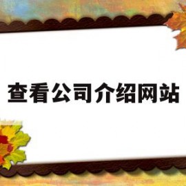 查看公司介绍网站(查看公司介绍网站违法吗)