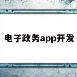 电子政务app开发(电子政务门户开发平台系统)