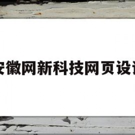 安徽网新科技网页设计(安徽网新科技网页设计招聘)