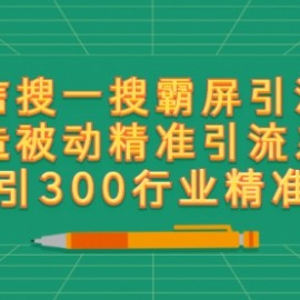 微信搜一搜霸屏引流课，打造被动精准引流系统 日引300行业精准粉