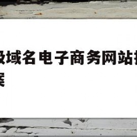 二级域名电子商务网站推广方案(商城二级域名)