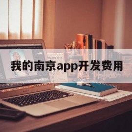 我的南京app开发费用(我的南京app初始密码是多少)