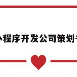 小程序开发公司策划书(小程序开发公司策划书怎么写)