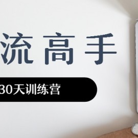 30天训练成引流绝世高手