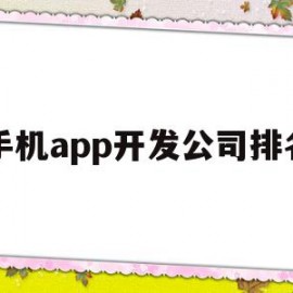 手机app开发公司排名(手机app开发公司排名榜)