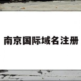 南京国际域名注册(南京国际高中有哪些)