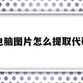 电脑图片怎么提取代码(电脑图片怎么提取代码的)