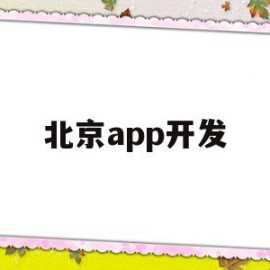 北京app开发(北京app开发外派公司)