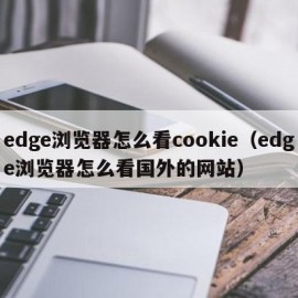 edge浏览器怎么看cookie（edge浏览器怎么看国外的网站）