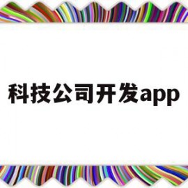 科技公司开发app(科技公司开发票税率多少)