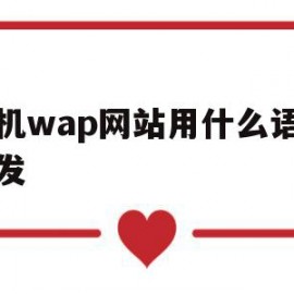 手机wap网站用什么语言开发(wap是手机端还是网页版)