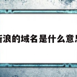 新浪的域名是什么意思(新浪的域名是什么意思呀)