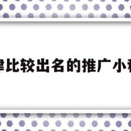 天津比较出名的推广小程序(天津比较出名的推广小程序公司)