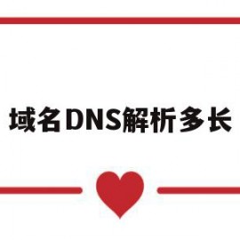 域名DNS解析多长(dns域名解析工作原理)