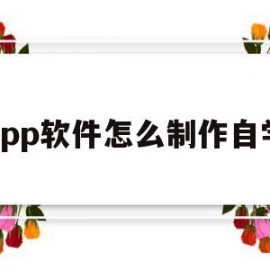 app软件怎么制作自学(怎么制作app软件教程)