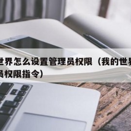 我的世界怎么设置管理员权限（我的世界设置管理员权限指令）