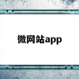 微网站app(微网站设计与开发教程)