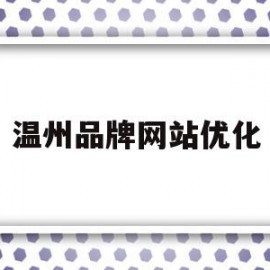 温州品牌网站优化(温州企业品牌)