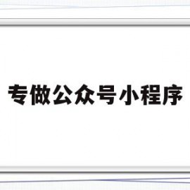 专做公众号小程序(专做公众号小程序的软件)