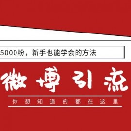 零基础玩微博引流推广，日涨5000粉