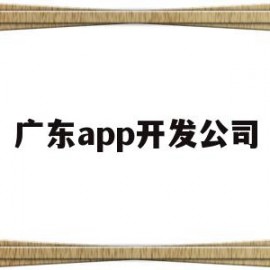 广东app开发公司(广州app软件制作公司)