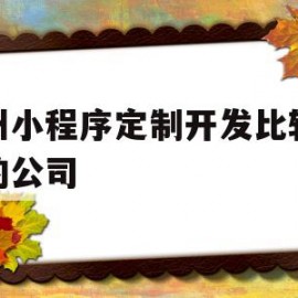 杭州小程序定制开发比较权威的公司(杭州小程序定制开发比较权威的公司是哪家)