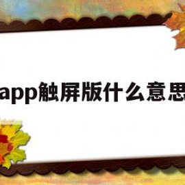 app触屏版什么意思(触屏软件手机版从哪下载)