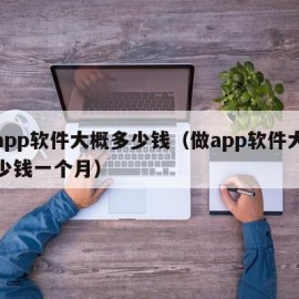 做app软件大概多少钱（做app软件大概多少钱一个月）