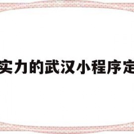 有实力的武汉小程序定制(武汉微信小程序开发公司哪家好?)