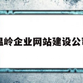 温岭企业网站建设公司(温岭企业网站建设公司有哪些)