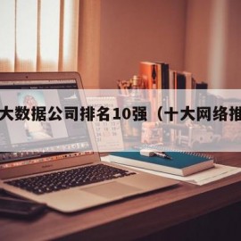 中国大数据公司排名10强（十大网络推广公司）