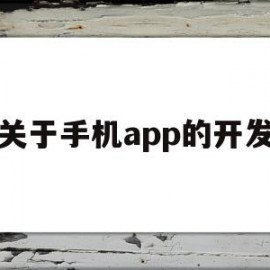 关于手机app的开发(手机app开发技术有哪些)