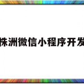 株洲微信小程序开发(株洲微信小程序开发招聘)