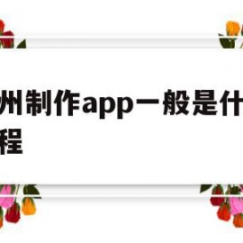 杭州制作app一般是什么流程(杭州app制作哪个公司比较权威)