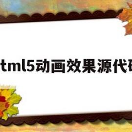 关于html5动画效果源代码的信息