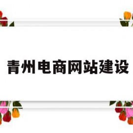 青州电商网站建设(青州市电子商务进农村综合示范项目)
