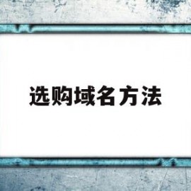 选购域名方法的简单介绍