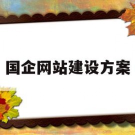 国企网站建设方案(企业网站建设思路)