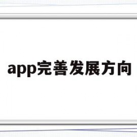 app完善发展方向(app发展战略规划范本)