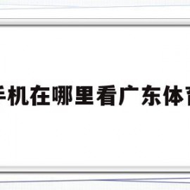 手机在哪里看广东体育(手机哪里可以看广东体育直播)